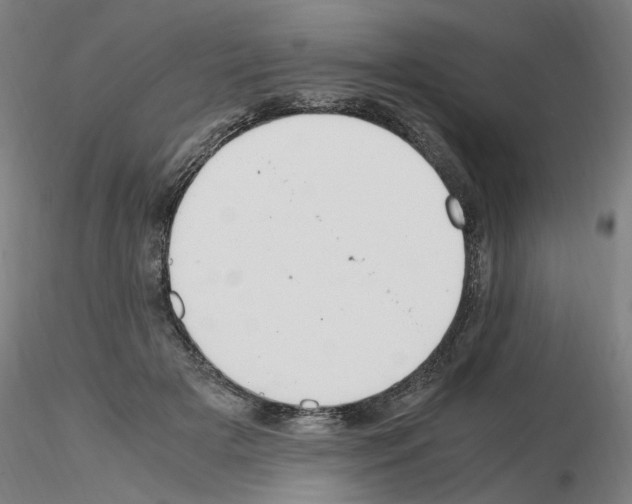 X0000115600505200912221149