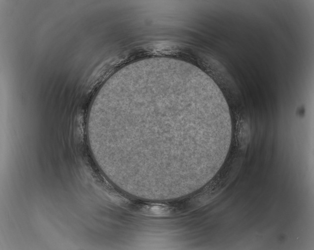 X0000115600506200912221149