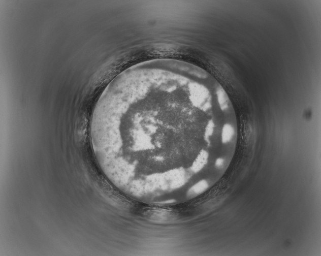 X0000115600507200912221149