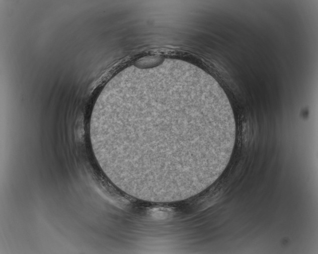 X0000115600508200912221149