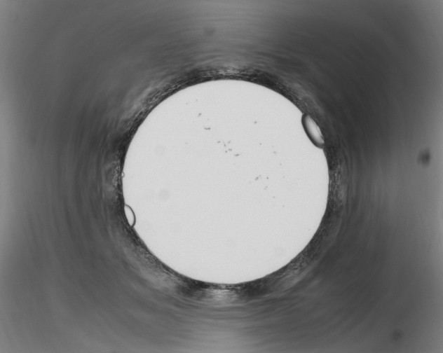 X0000115600509200912221149