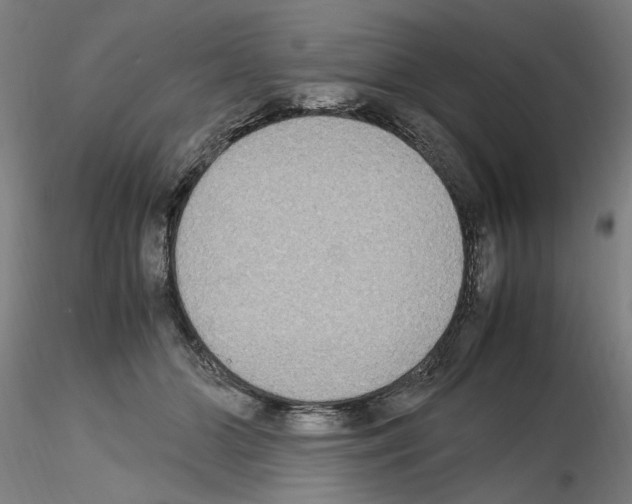 X0000115600510200912221149