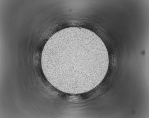 X0000115600511200912221149