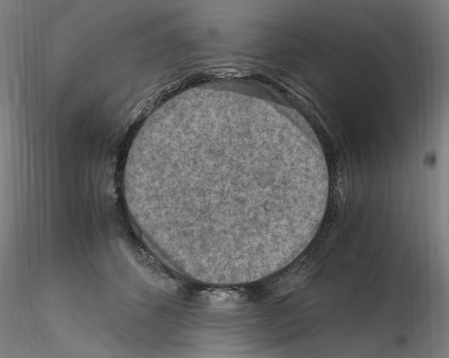 X0000115600512200912221149