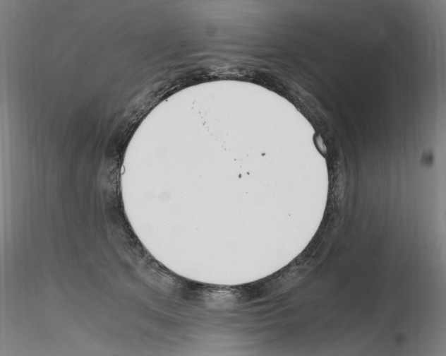 X0000115600513200912221149