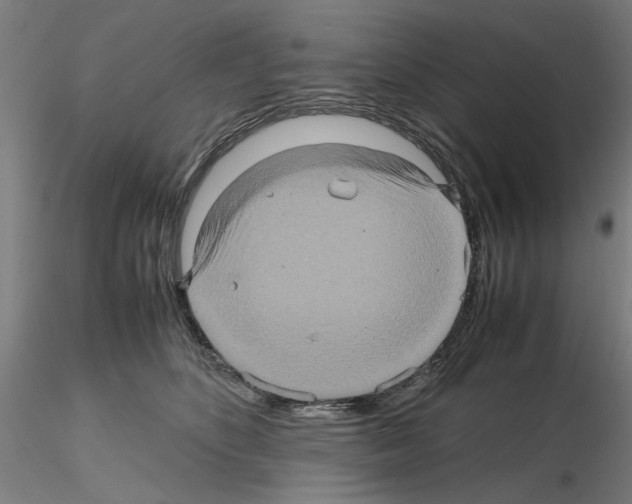 X0000115600516200912221149