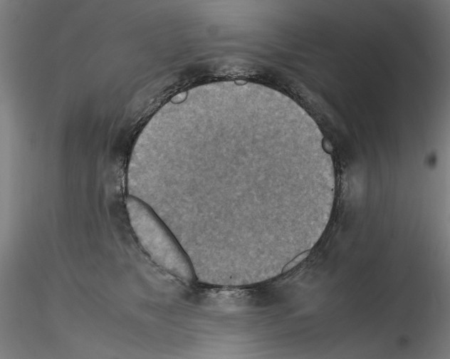 X0000115600517200912221149