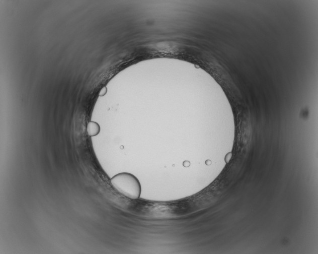 X0000115600518200912221149