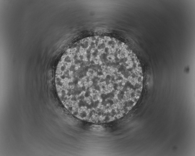 X0000115600519200912221149