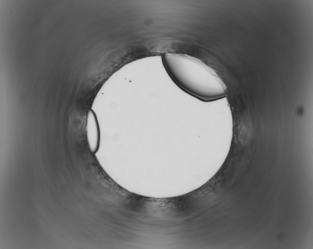 X0000115600521200912221149