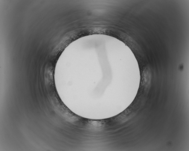 X0000115600522200912221149