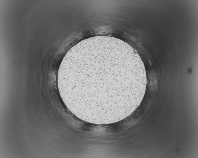 X0000115600523200912221149