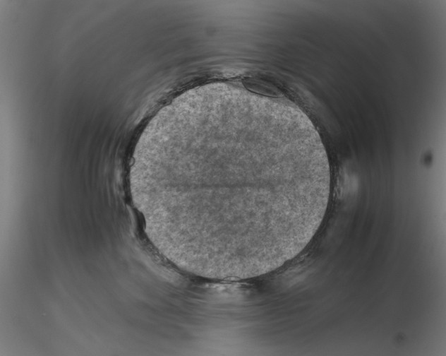 X0000115600524200912221149