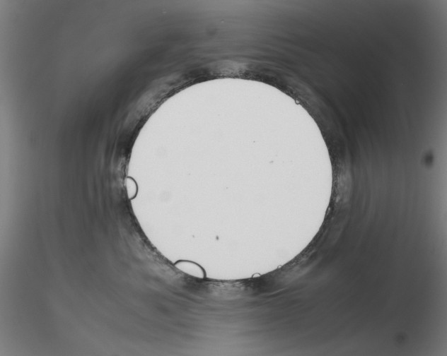 X0000115600525200912221149