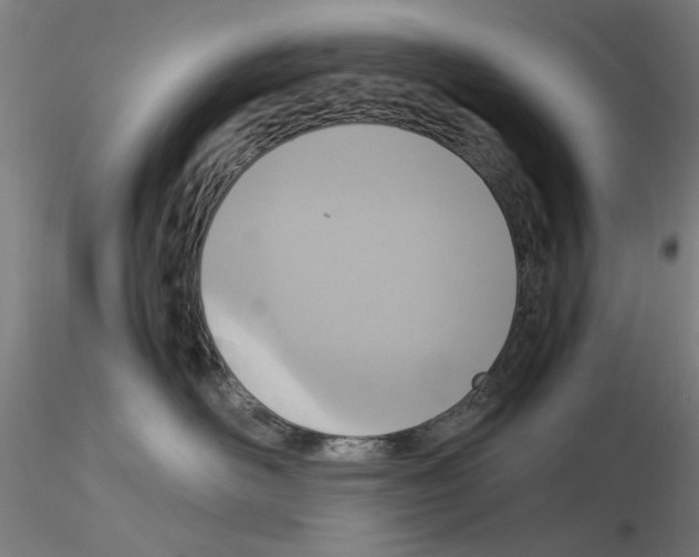 X0000115600526200912221149