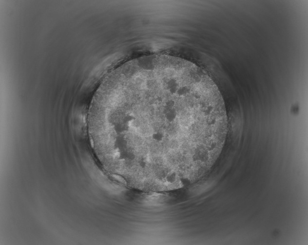 X0000115600527200912221149