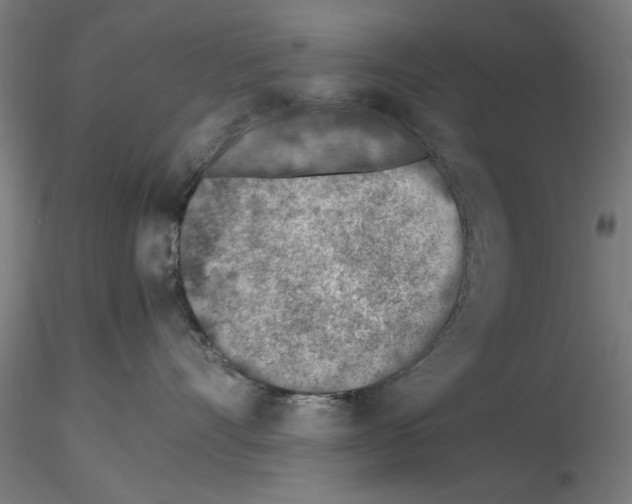 X0000115600528200912221149