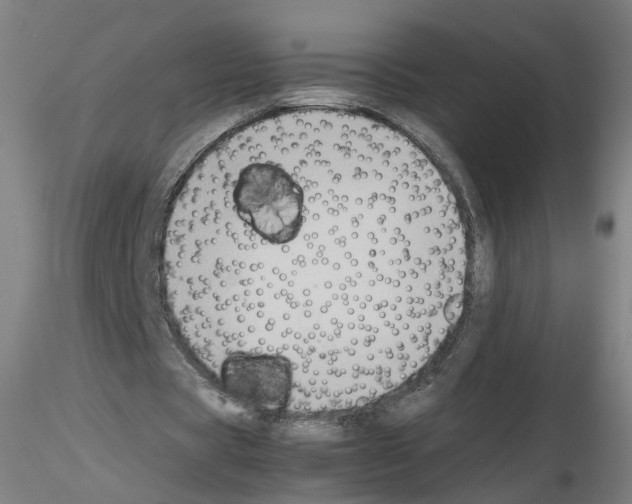 X0000115600529200912221148