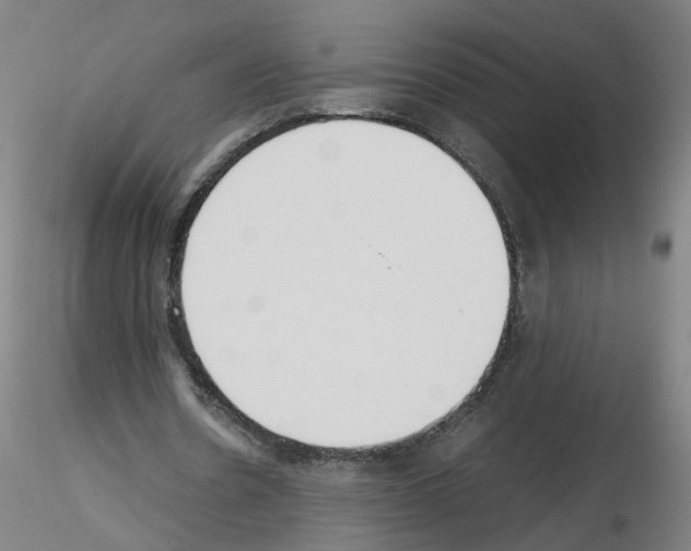 X0000115600530200912221148