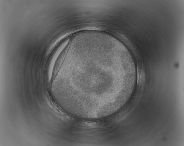 X0000115600531200912221148