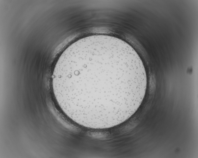 X0000115600533200912221148