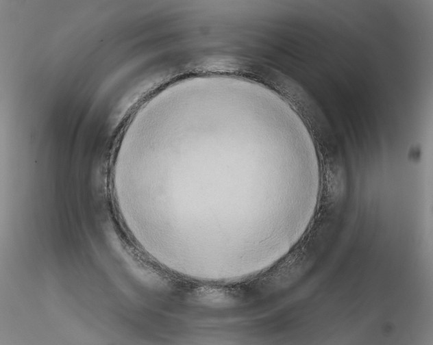 X0000115600534200912221148