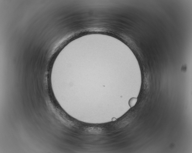 X0000115600535200912221148