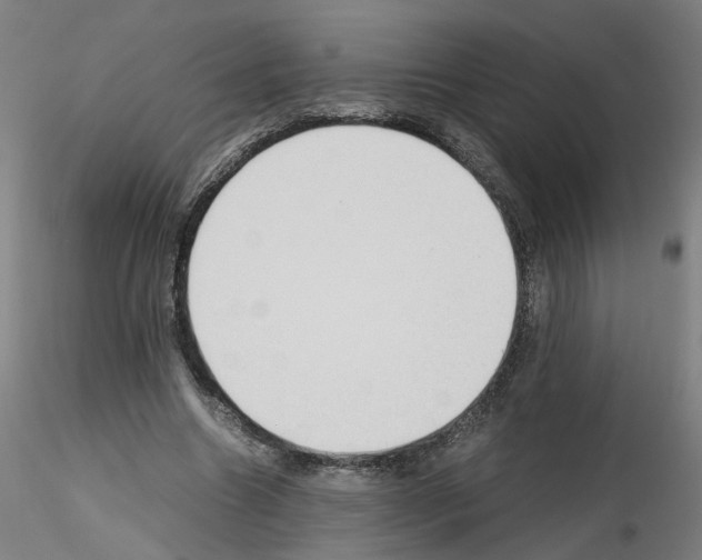 X0000115600538200912221148