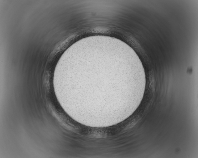 X0000115600542200912221148