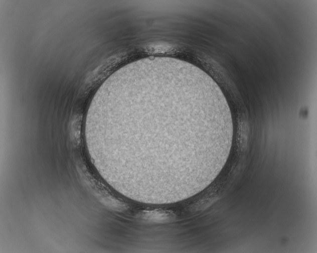 X0000115600545200912221148