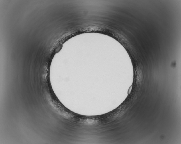 X0000115600546200912221148