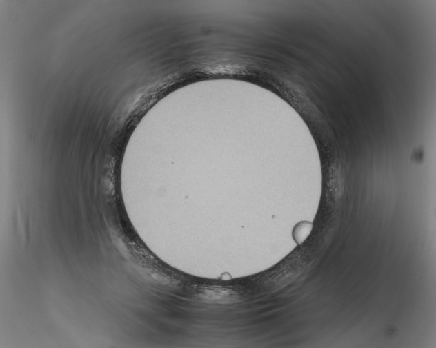 X0000115600547200912221148