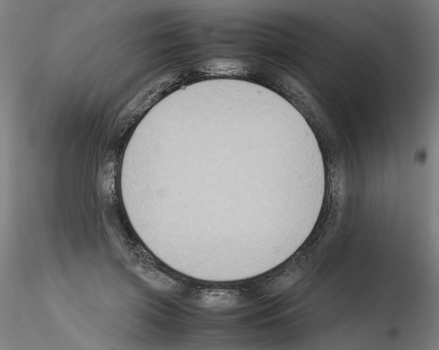 X0000115600549200912221148