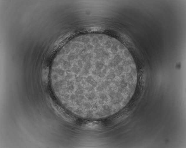 X0000115600550200912221148