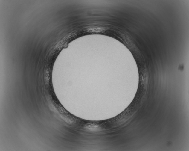 X0000115600551200912221148