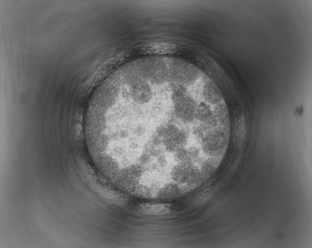 X0000115600553200912221148