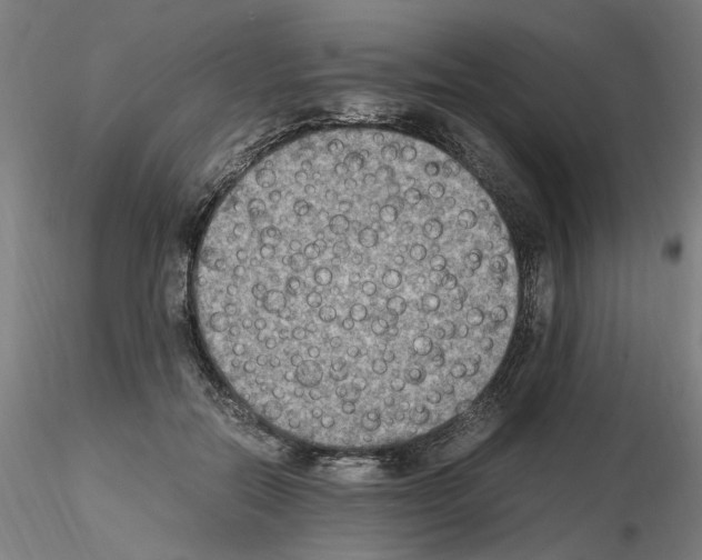 X0000115600554200912221148