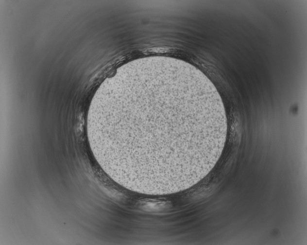 X0000115600555200912221148