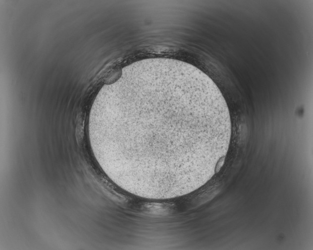 X0000115600558200912221148