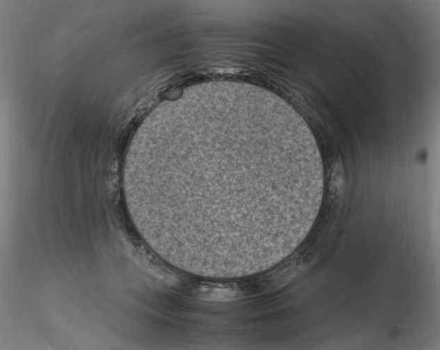 X0000115600559200912221148