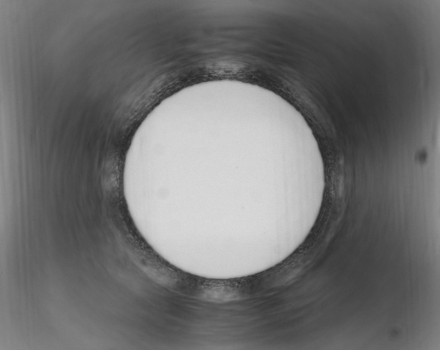 X0000115600561200912221148