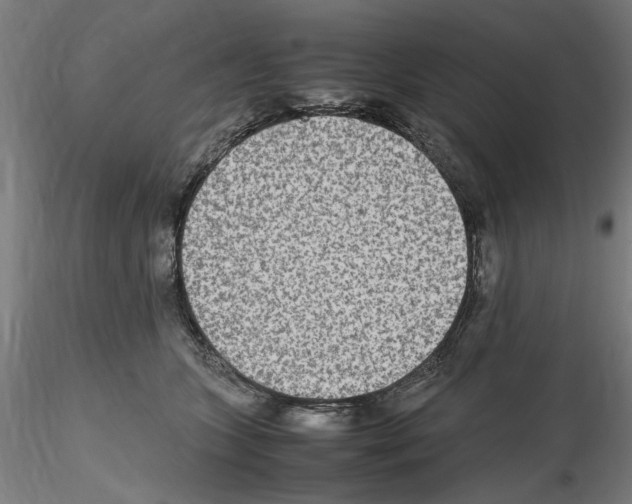 X0000115600563200912221148