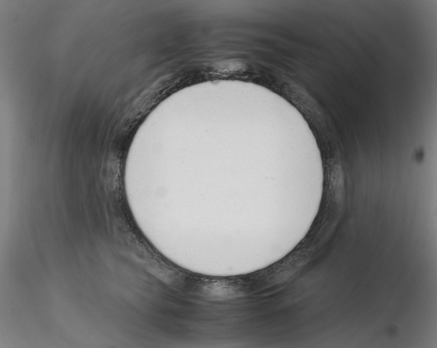 X0000115600565200912221148