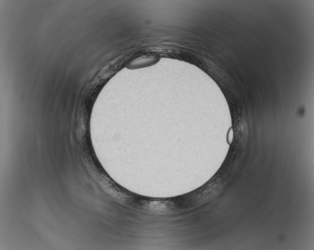 X0000115600566200912221148