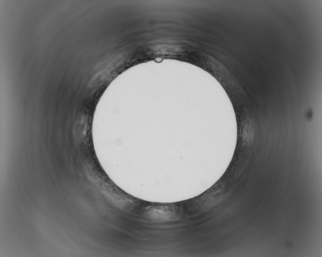 X0000115600567200912221148