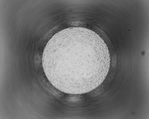 X0000115600569200912221148