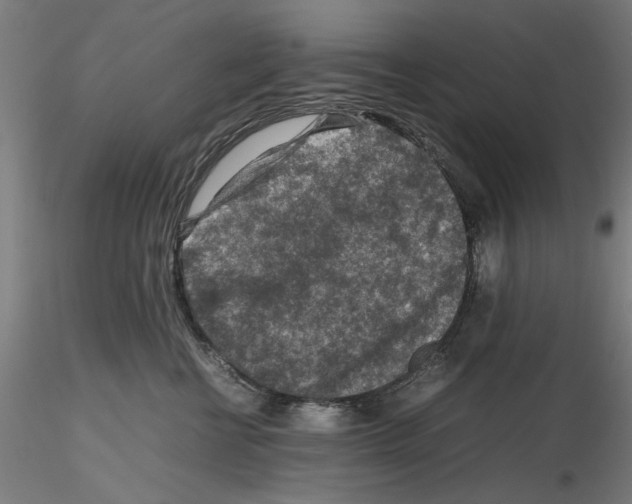 X0000115600570200912221148