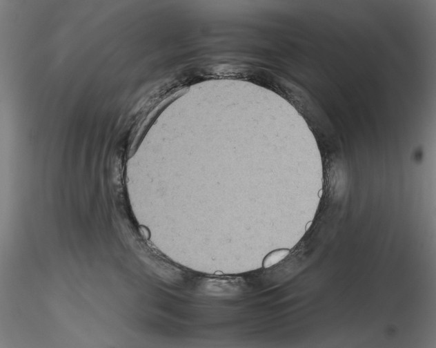 X0000115600571200912221149