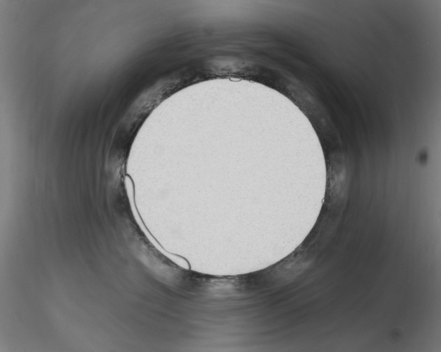 X0000115600574200912221149