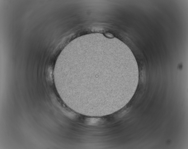 X0000115600575200912221149